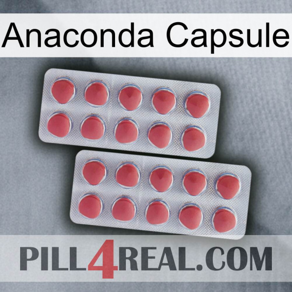 Anaconda Capsule 19.jpg